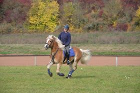 DSC_2611.jpg