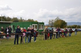 DSC_2662.jpg