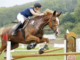 428290318-wr_sp_weber-kristin_20140907_17_11_05-hZ34.jpg