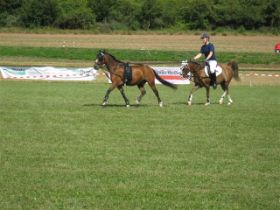 Katrin05.JPG